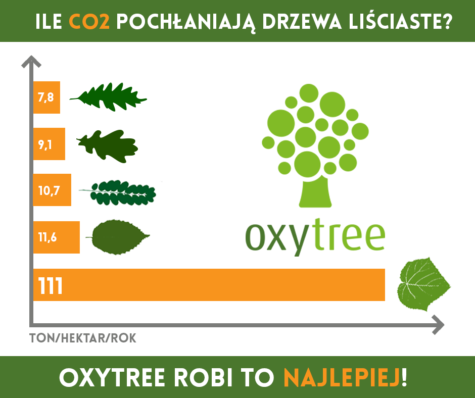 oxytree-pochlania-dwutlenek-wegla